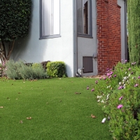 Artificial Lawn Merrimac, Virginia Design Ideas, Front Yard Landscape Ideas