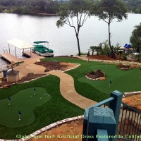 Artificial Turf Installation Hampton, Virginia Landscape Photos, Backyard Landscape Ideas