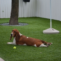 Artificial Turf Installation Warsaw, Virginia Dog Running, Dog Kennels