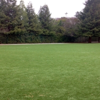 Synthetic Grass Cost New Hope, Virginia Backyard Playground, Landscaping Ideas For Front Yard
