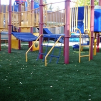 Artificial Turf Mount Vernon, Virginia Indoor Playground, Commercial Landscape