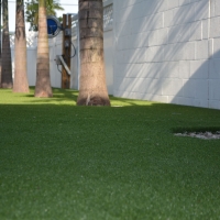 Best Artificial Grass Merrimac, Virginia Landscape Ideas, Commercial Landscape