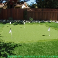 Best Artificial Grass Portsmouth Heights, Virginia Landscape Ideas, Backyard Designs