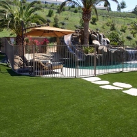 Artificial Turf Cost Timberlake, Virginia Pet Grass, Dogs Runs