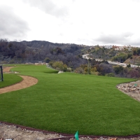 Fake Grass Carpet Central Garage, Virginia Landscaping Business