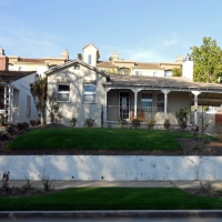 Fake Grass Carpet Motley, Virginia Gardeners, Front Yard Landscape Ideas