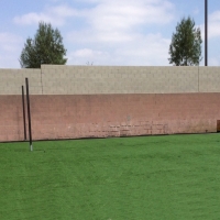 Turf Grass Ruckersville, Virginia Dog Pound, Backyard Ideas