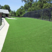 Fake Grass Stafford, Virginia Design Ideas, Commercial Landscape