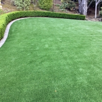 Faux Grass Fairlawn, Virginia Design Ideas, Backyard Landscaping Ideas