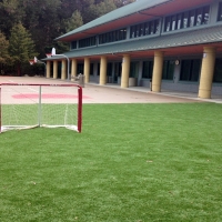 Grass Carpet Gratton, Virginia Backyard Sports, Commercial Landscape