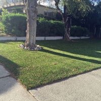 Grass Carpet South Hill, Virginia Landscaping, Front Yard