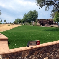 Synthetic Turf Supplier Cluster Springs, Virginia Landscape Design