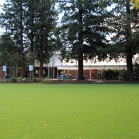 Grass Carpet Tysons Corner, Virginia Upper Playground, Recreational Areas