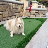 Grass Turf Broadway, Virginia Drainage, Backyard Designs