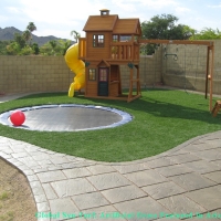 Grass Turf Centreville, Virginia Lawn And Garden, Backyard Designs