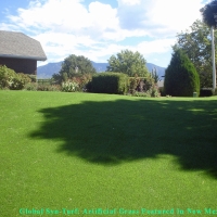 Grass Turf East Hampton, Virginia Garden Ideas, Small Backyard Ideas