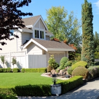 Grass Turf Vansant, Virginia Gardeners, Front Yard Ideas