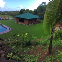 Green Lawn Clintwood, Virginia Lawn And Landscape, Pool Designs