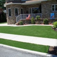 Outdoor Carpet Cave Spring, Virginia Home And Garden, Commercial Landscape