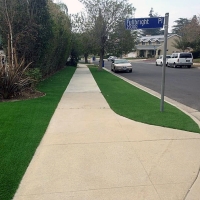 Outdoor Carpet Annandale, Virginia Gardeners, Small Front Yard Landscaping