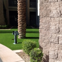 Grass Turf Belle Haven, Virginia Lawn And Garden, Front Yard Ideas