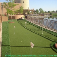 Synthetic Grass Arlington, Virginia Gardeners, Beautiful Backyards