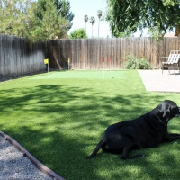 Synthetic Grass Dublin, Virginia Dog Running, Backyard Makeover