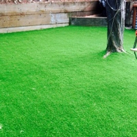 Synthetic Grass Shenandoah Shores, Virginia Kids Indoor Playground, Backyard Landscape Ideas