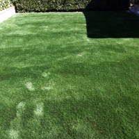 Synthetic Lawn Bobtown, Virginia Pet Grass, Backyards