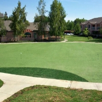 Synthetic Turf Supplier Atlantic, Virginia Design Ideas, Backyard