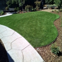 Synthetic Turf Appalachia, Virginia Landscape Ideas, Landscaping Ideas For Front Yard