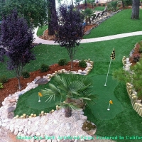 Synthetic Lawn Virginia Beach, Virginia Outdoor Putting Green, Backyard Designs