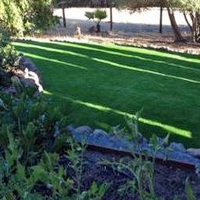 Synthetic Turf Benns Church, Virginia Garden Ideas, Backyards