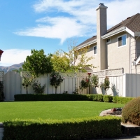 Artificial Grass Carpet Sedley, Virginia Gardeners, Front Yard Landscaping