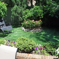 Turf Grass Stuart, Virginia Rooftop, Commercial Landscape