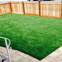 Synthetic Turf Supplier Atlantic, Virginia Design Ideas, Backyard