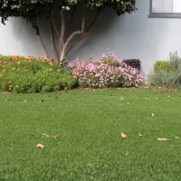 Turf Grass Hillsville, Virginia Backyard Playground, Front Yard Design