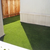 Turf Grass Newington, Virginia Grass For Dogs, Backyard Landscaping