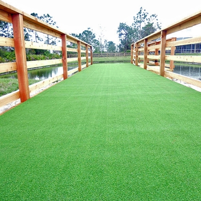 Artificial Grass Carpet Augusta Springs, Virginia Lawns, Commercial Landscape