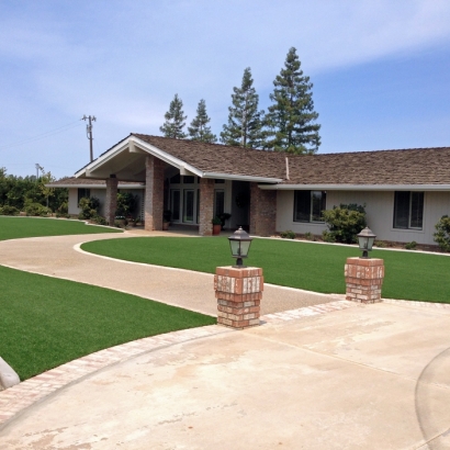 Artificial Grass Carpet Chincoteague, Virginia Lawn And Landscape, Front Yard Landscaping