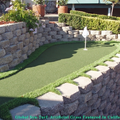 Artificial Grass Carpet Newport News, Virginia Home And Garden, Backyard Ideas