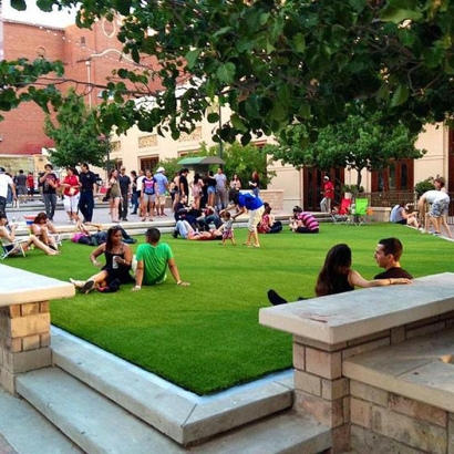 Artificial Grass Crimora, Virginia Roof Top, Commercial Landscape