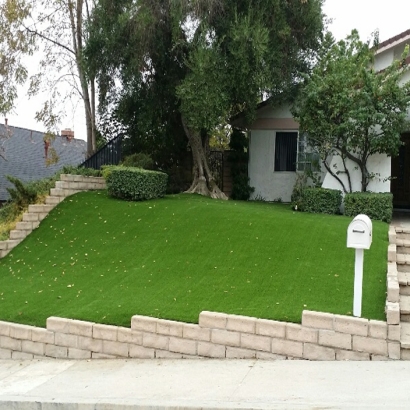 Artificial Grass Installation Ivanhoe, Virginia Home And Garden, Front Yard Ideas