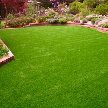 Artificial Grass Jarratt, Virginia Rooftop, Backyard Landscaping