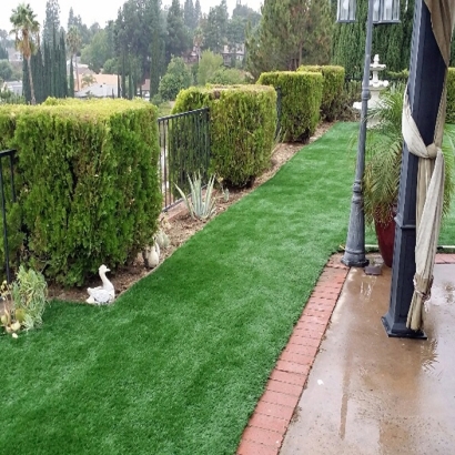 Artificial Lawn Round Hill, Virginia Landscape Design, Backyard Landscaping Ideas