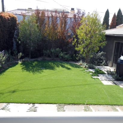 Synthetic Grass Captains Cove, Virginia Grass For Dogs, Backyard Landscaping Ideas