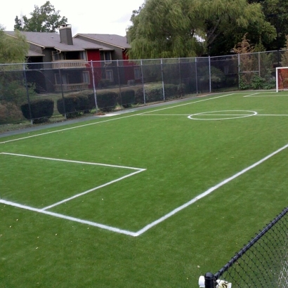 Artificial Turf Cost Belmont, Virginia Backyard Sports, Commercial Landscape