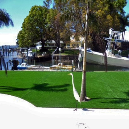 Artificial Turf Cost Charlottesville, Virginia Lawn And Landscape, Backyard Ideas
