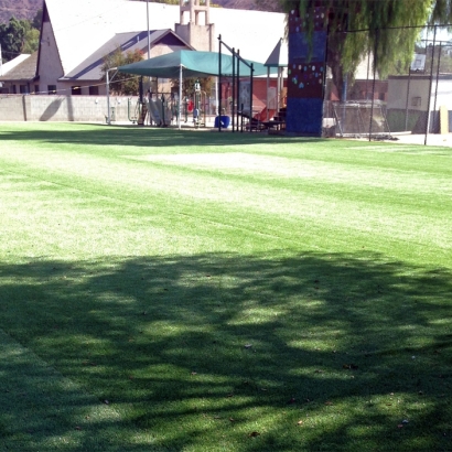 Artificial Turf Cost Modest Town, Virginia Gardeners, Recreational Areas