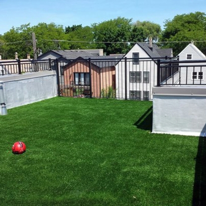 Artificial Turf Cost Montrose, Virginia Artificial Grass For Dogs, Deck
